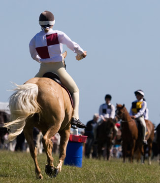 Pony club Event